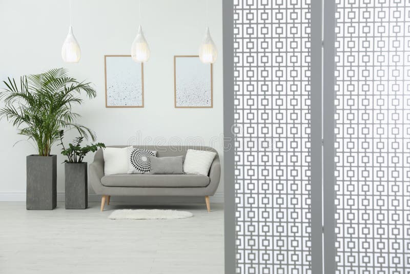 Schöne Topfpflanzen im Zimmer lizenzfreies stockbild