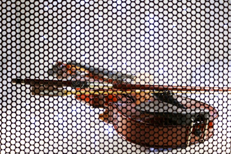 Schöne Violine mit Maschenhintergrund lizenzfreie stockbilder Schöne Violine mit Maschenhintergrund lizenzfreie stockbilder