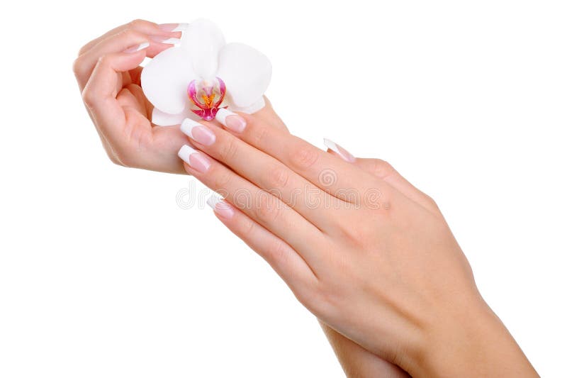 Schöne well-groomed weibliche Hand mit Blume stockfotografie