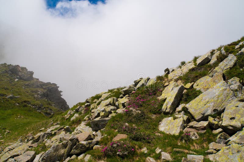 Schöne wilde Landschaft mit felsige Gebirgsmorgens Nebel lizenzfreie stockfotos Schöne wilde Landschaft mit felsige Gebirgsmorgens Nebel lizenzfreie stockfotos
