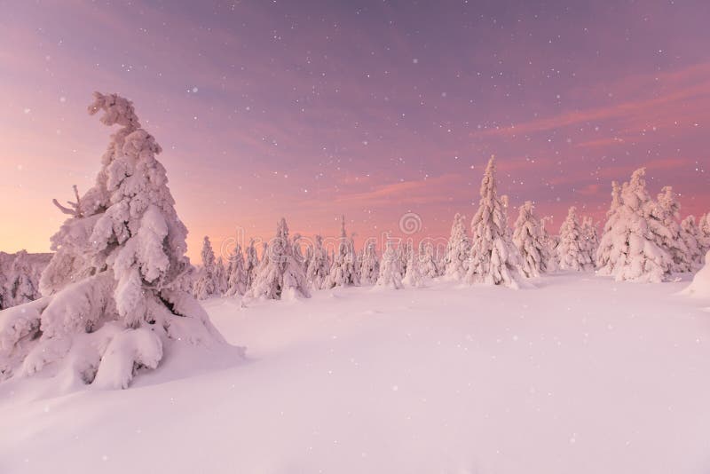 Schöne Winterlandschaft, Bäume bedeckt mit Schnee lizenzfreies stockbild