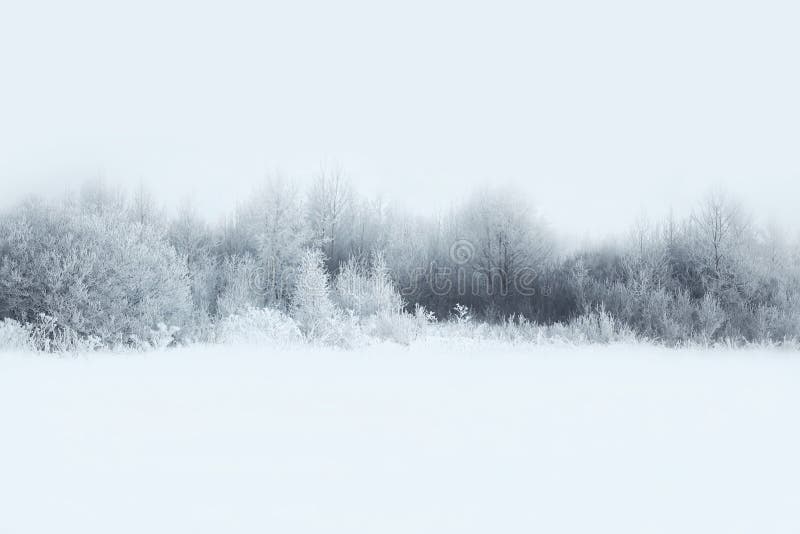 Schöne Winterwaldlandschaft, Bäume bedeckte Schnee stockbilder