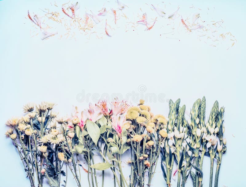 Schöner Blumenhintergrund auf blauer, Pastelldraufsicht Blumenplan lizenzfreies stockfoto Schöner Blumenhintergrund auf blauer, Pastelldraufsicht Blumenplan lizenzfreies stockfoto