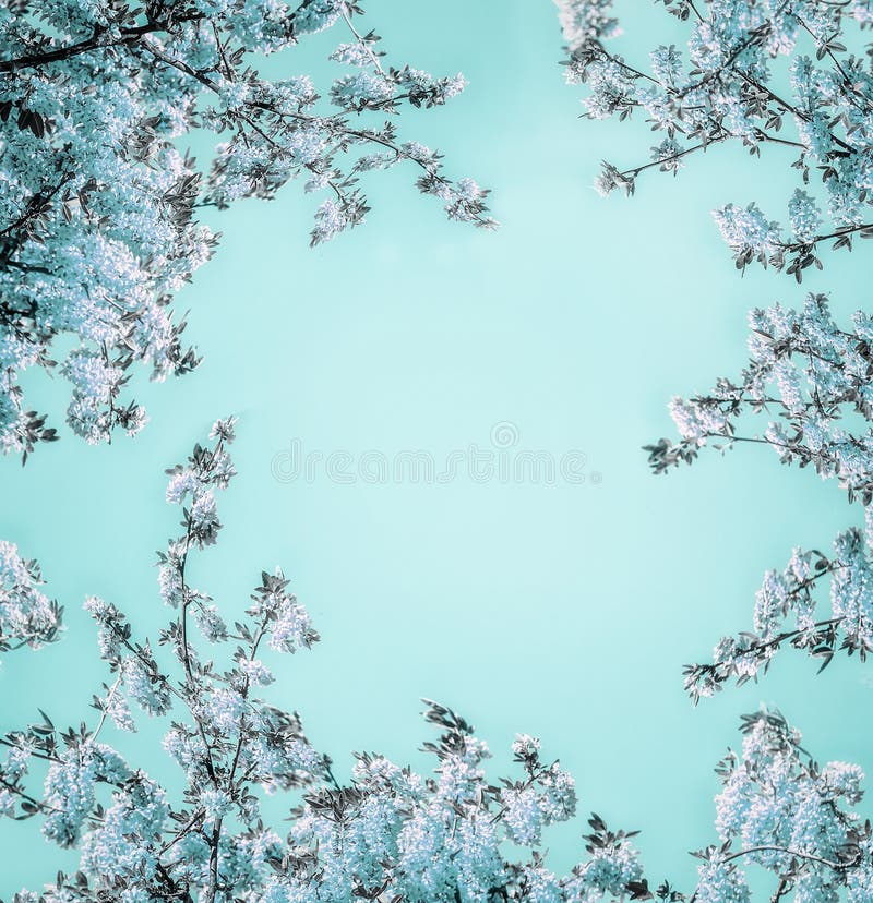 Schöner Blumenhintergrund mit blauer Blüte auf hellem Türkis, Rahmen lizenzfreie stockbilder Schöner Blumenhintergrund mit blauer Blüte auf hellem Türkis, Rahmen lizenzfreie stockbilder