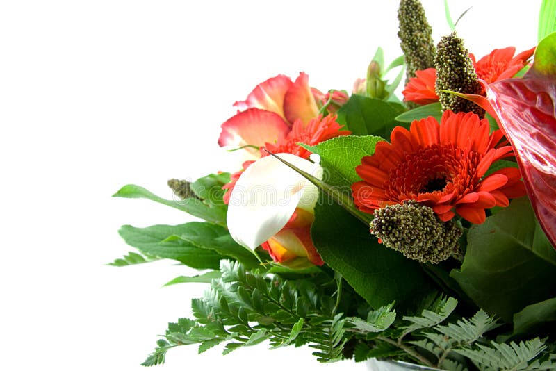 Schöner Blumenstrauß der roten Blumen stockfotografie