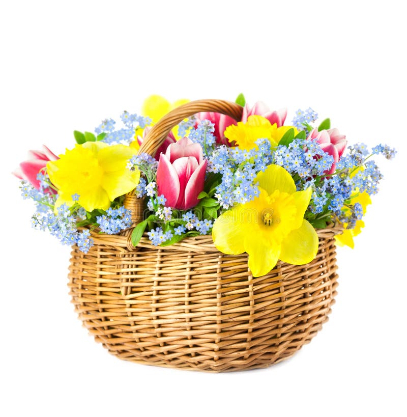 Schöner Blumenstrauß des Frühlinges blüht in Korb auf weißem backgr lizenzfreie stockfotos