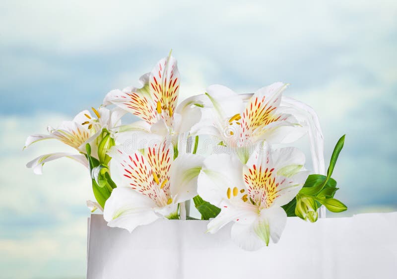 Schöner Blumenstrauß von weißen Blumen für Muttertag lizenzfreies stockfoto