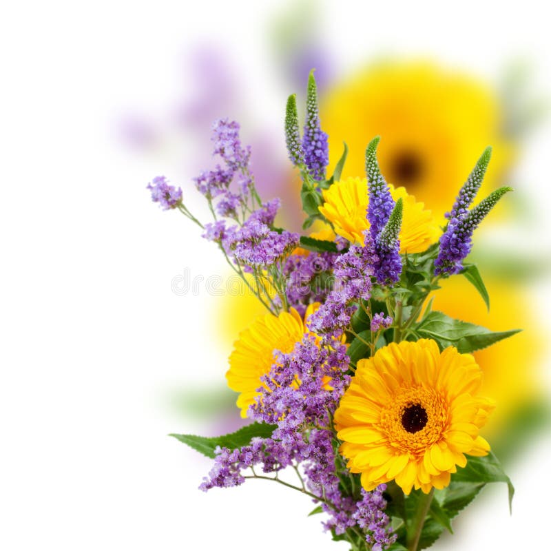 Blumenstrauß von Gerbera lizenzfreie stockfotografie Blumenstrauß von Gerbera lizenzfreie stockfotografie