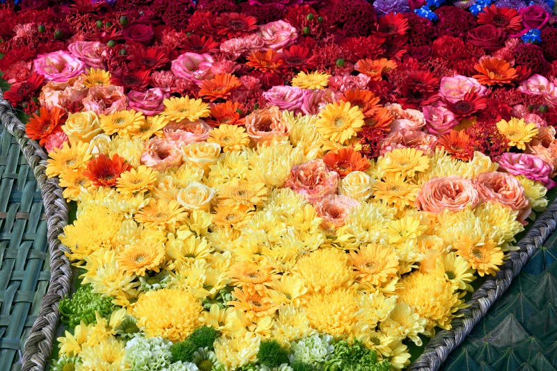 Schöner bunter Blumenhintergrund lizenzfreie stockfotos Schöner bunter Blumenhintergrund lizenzfreie stockfotos