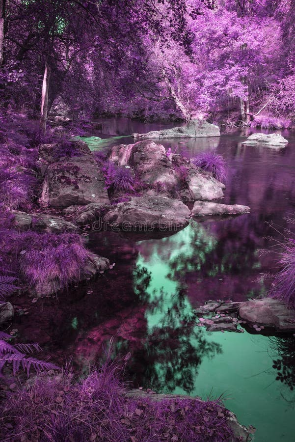 Schöner Fluss, der abwechselnden surrealen farbigen Wald durchfließt stockbilder Schöner Fluss, der abwechselnden surrealen farbigen Wald durchfließt stockbilder