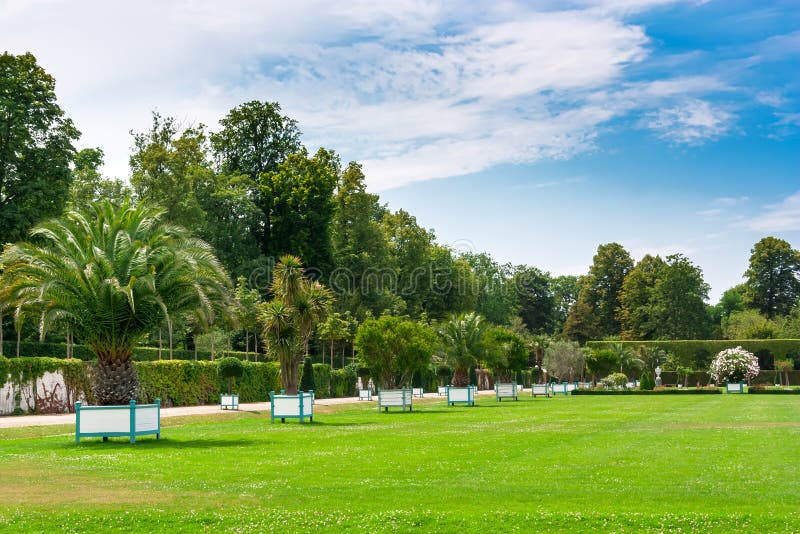 Topiaryhecken und -rasen stockfoto. Bild von hecken, rasen - 3073476