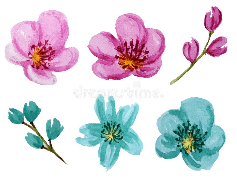 Schöner heller Farbaquarell-Blumensatz Rosa und Türkisblume lokalisiert auf weißem Hintergrund stockfotos Schöner heller Farbaquarell-Blumensatz Rosa und Türkisblume lokalisiert auf weißem Hintergrund stockfotos
