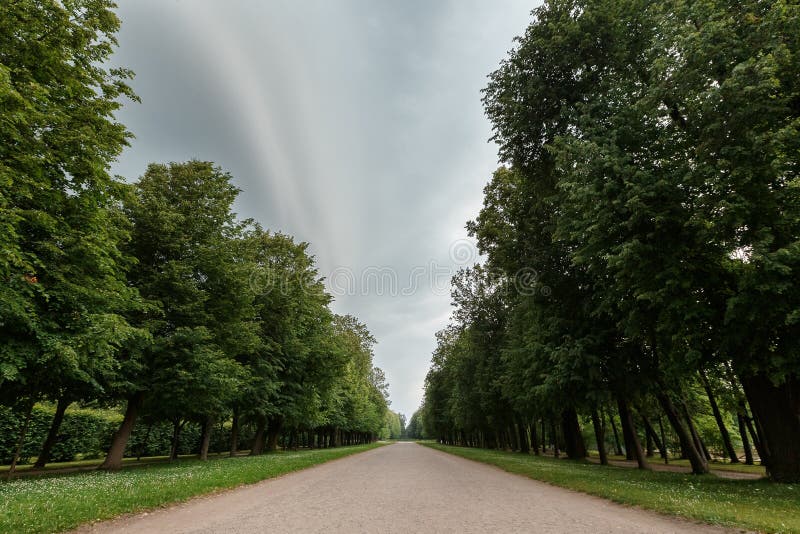 Schöner Park der Parkszene öffentlich mit grüner Rasenfläche, grüner Baumanlage und einem bewölkten blauen Himmel der Partei stockfotografie Schöner Park der Parkszene öffentlich mit grüner Rasenfläche, grüner Baumanlage und einem bewölkten blauen Himmel der Partei stockfotografie