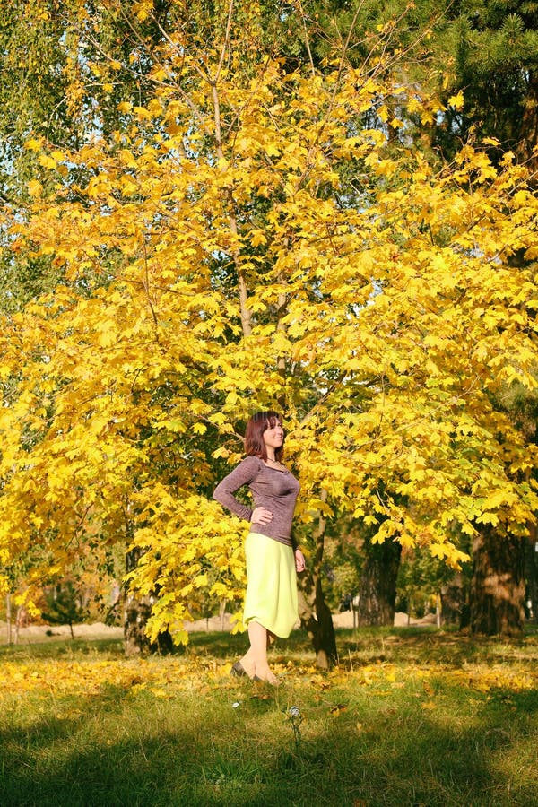Schöner schwangerer Mädchenherbst im Park Mädchen im gelben Kleid und im blauen Hut Mädchen, das einen Blumenstrauß von gelben Bl stockfotos Schöner schwangerer Mädchenherbst im Park Mädchen im gelben Kleid und im blauen Hut Mädchen, das einen Blumenstrauß von gelben Bl stockfotos