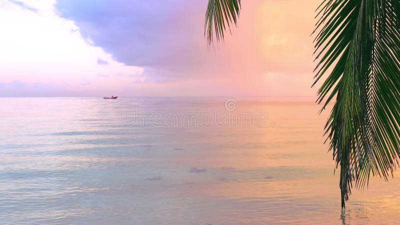 Schöner Sonnenaufgang über dem exotischen Strand Tropische Meereswellen unter dem blauen Himmel
