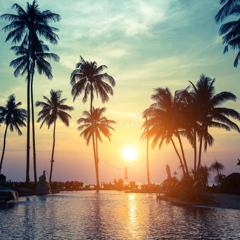 Schöner Sonnenuntergang mit Schattenbildern von Palmen auf einem tropischen Strand lizenzfreie stockbilder Schöner Sonnenuntergang mit Schattenbildern von Palmen auf einem tropischen Strand lizenzfreie stockbilder