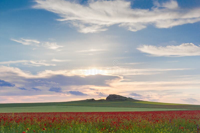 Schöner Sonnenunterganghimmel mit weißen Wolken über einem grünen Sommerfeld mit Mohnblumen lizenzfreie stockfotos Schöner Sonnenunterganghimmel mit weißen Wolken über einem grünen Sommerfeld mit Mohnblumen lizenzfreie stockfotos