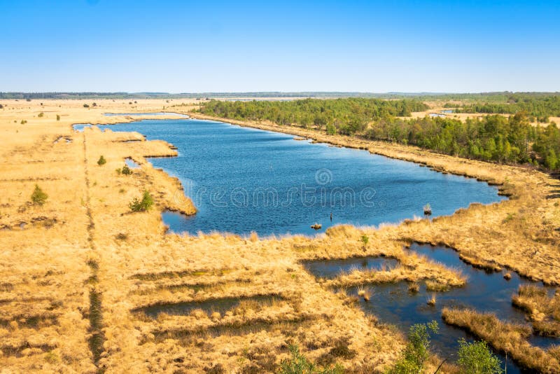 Schöner Torfsee im Naturreservat Fochteloerveen lizenzfreie stockfotos Schöner Torfsee im Naturreservat Fochteloerveen lizenzfreie stockfotos