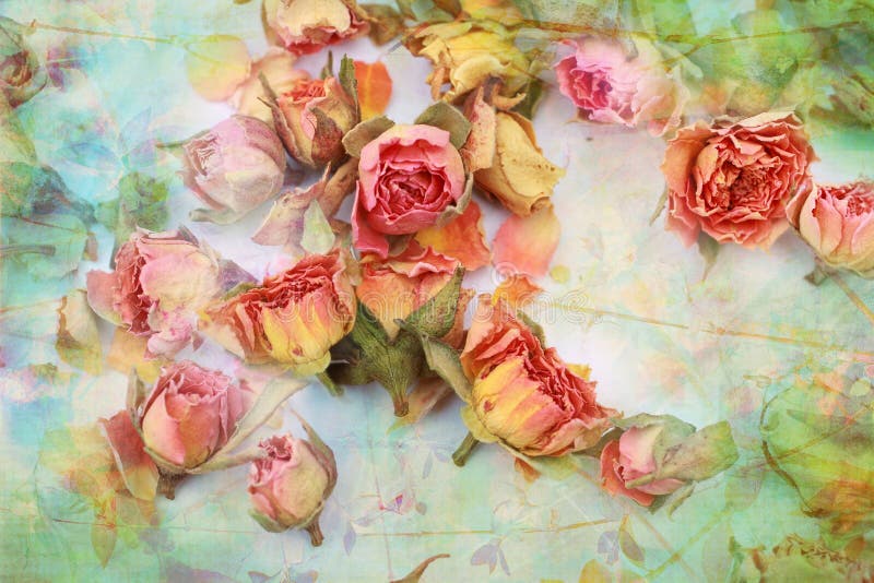 Schöner Weinlesehintergrund der trockenen Rosen lizenzfreies stockfoto Schöner Weinlesehintergrund der trockenen Rosen lizenzfreies stockfoto