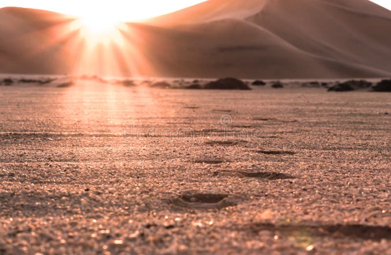 Schöner Wüstensonnenuntergang und -abdrücke im Sand lizenzfreie stockbilder Schöner Wüstensonnenuntergang und -abdrücke im Sand lizenzfreie stockbilder