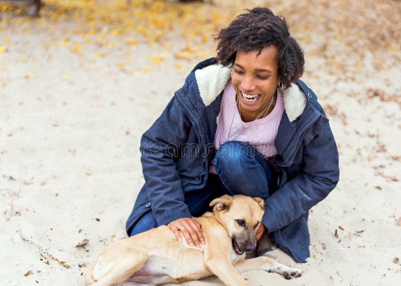 Schönes afrikanisches Mädchen im Herbstpark auf der Natur spielt mit Hund stockbilder Schönes afrikanisches Mädchen im Herbstpark auf der Natur spielt mit Hund stockbilder