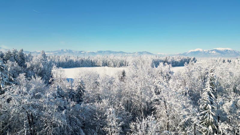 Schönes Bild der schneebedeckten Winterlandschaft