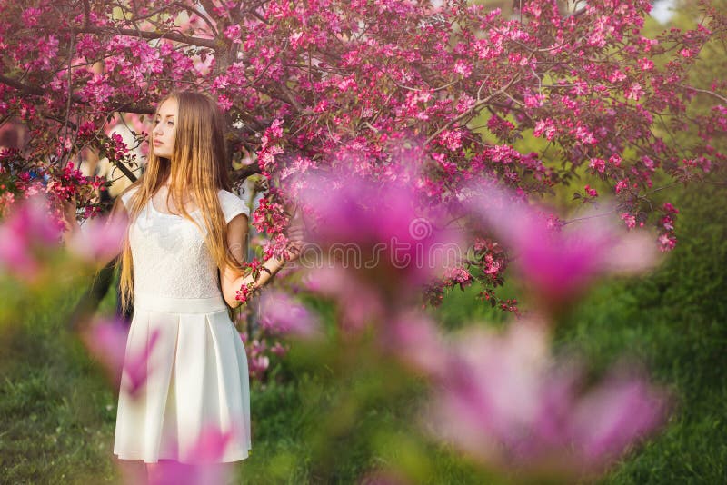 Schönes blondes Mädchen im rosa Pfirsich und Kirschblüte arbeiten im Garten Schönes Mädchen draußen entspringen Porträt, junge Fr stockfotos Schönes blondes Mädchen im rosa Pfirsich und Kirschblüte arbeiten im Garten Schönes Mädchen draußen entspringen Porträt, junge Fr stockfotos