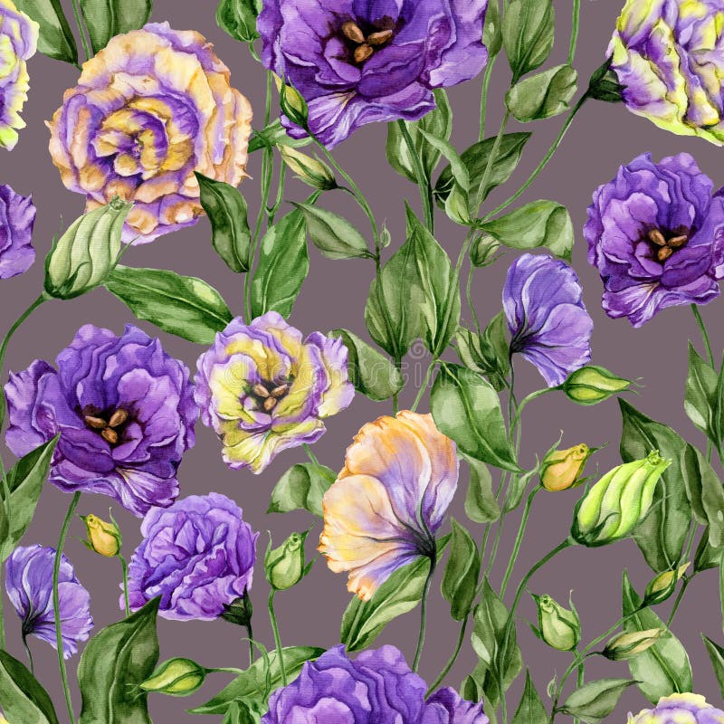 Schönes Eustomablumen lisianthus mit Blättern und den geschlossenen Knospen auf grauem Hintergrund Nahtloses Blumenmuster stock abbildung