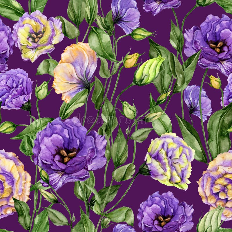 Schönes Eustomablumen lisianthus mit Blättern und den geschlossenen Knospen auf purpurrotem Hintergrund Nahtloses Blumenmuster stock abbildung