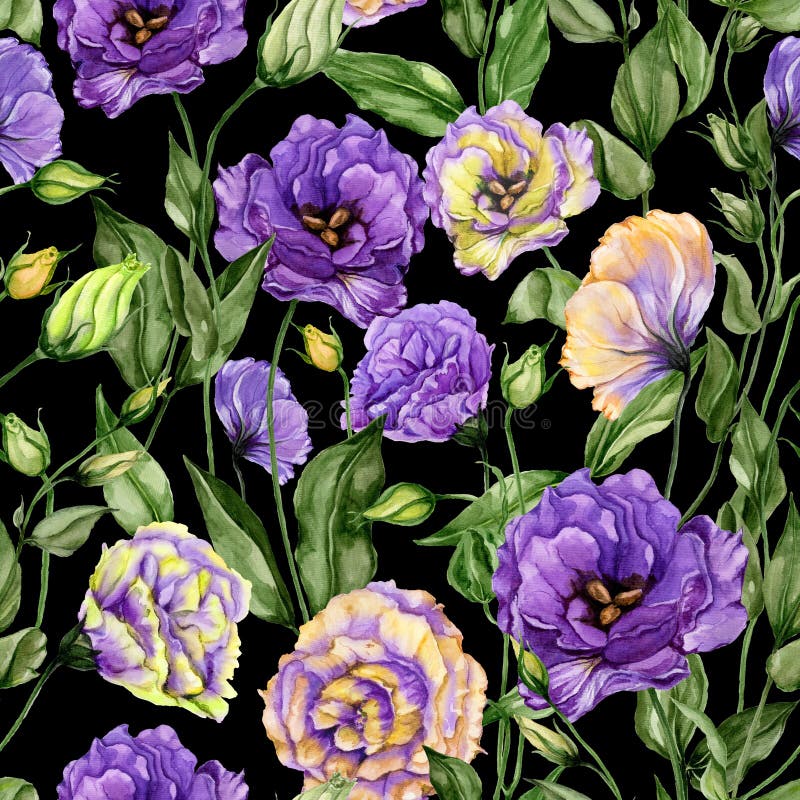Schönes Eustomablumen lisianthus mit Blättern und den geschlossenen Knospen auf schwarzem Hintergrund Nahtloses Blumenmuster stock abbildung