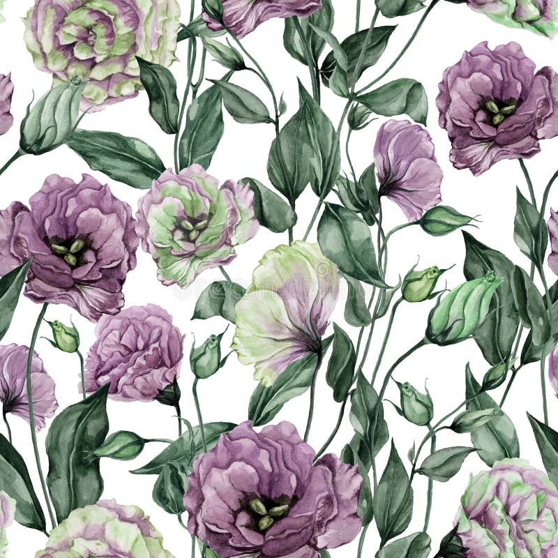 Schönes Eustomablumen lisianthus mit Blättern und den geschlossenen Knospen auf weißem Hintergrund Nahtloses Blumenmuster stock abbildung