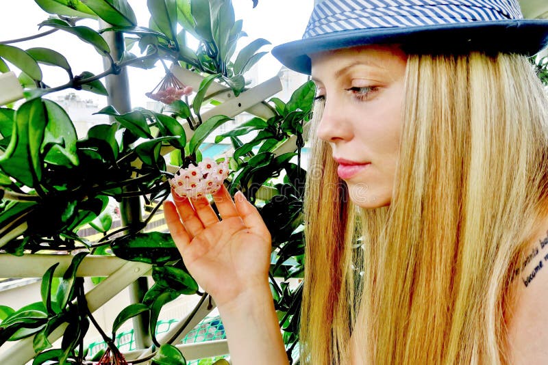 Schönes Mädchen in einem Hut betrachtet eine Blume stockbild Schönes Mädchen in einem Hut betrachtet eine Blume stockbild