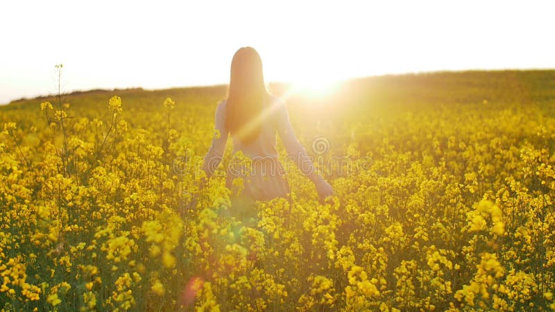 Schönes Mädchen geht auf Feld von Blumen bei Sonnenuntergang