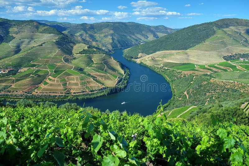 Schönes Panorama des Duero-Flusses in Duero Portugal