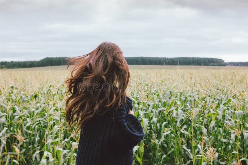 Schönes, pfefarbiges, langhaarbiges Mädchen in Strickpulater von hinten im Herbstmaisfeld Sensibilität für das Naturkonzept