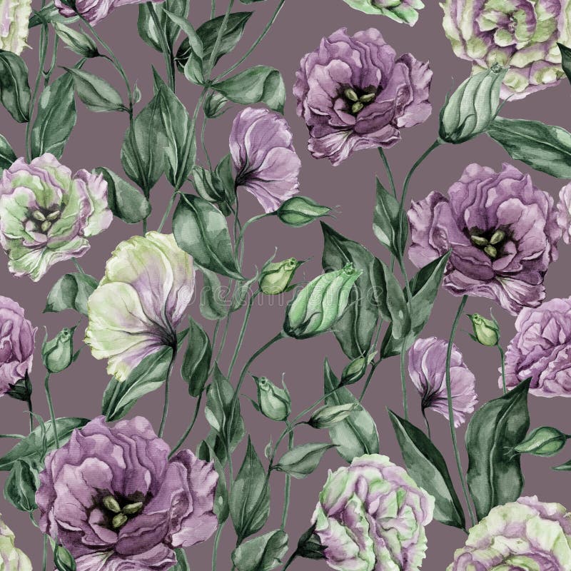 Schönes purpurrotes und chartreuse Eustomablumen lisianthus mit Blättern und den geschlossenen Knospen Nahtloses Blumenmuster lizenzfreie abbildung