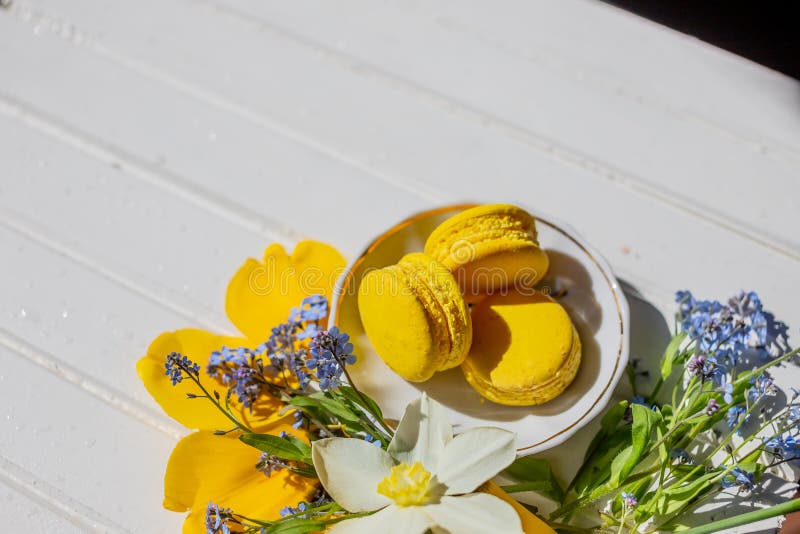 Schönes Stillleben mit macaron Keksen und Blumen Zitronennachtisch lokalisiert Kopieren Sie Platz französische Schokoladenwüste a lizenzfreies stockbild Schönes Stillleben mit macaron Keksen und Blumen Zitronennachtisch lokalisiert Kopieren Sie Platz französische Schokoladenwüste a lizenzfreies stockbild