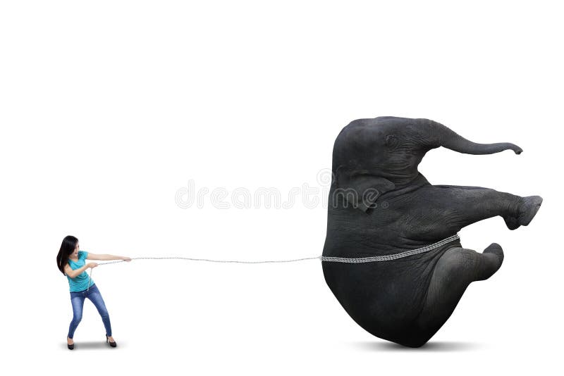Schönheit, die großen Elefanten zieht lizenzfreies stockfoto Schönheit, die großen Elefanten zieht lizenzfreies stockfoto