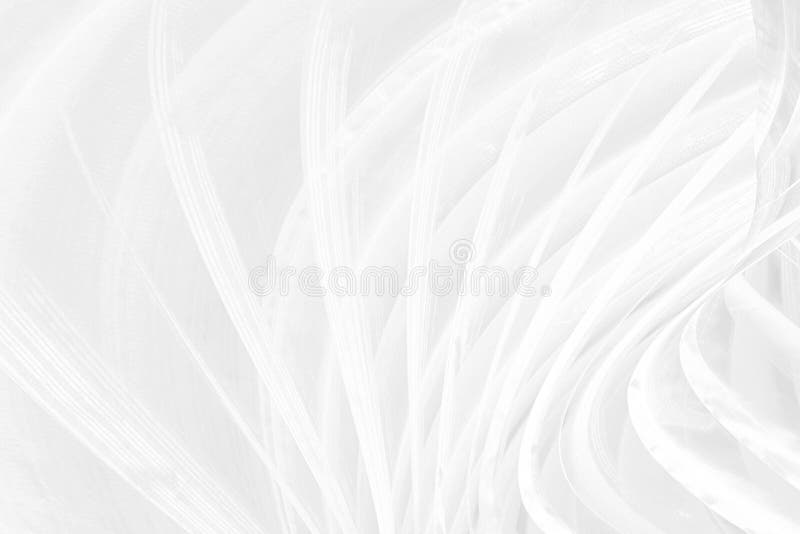 Schönheit verzieren Zusammenfassung. Kurvenmodematrix-Formhintergrund des chacoal Textilweichen Gewebes schwarzer reibungsloser stockfotografie