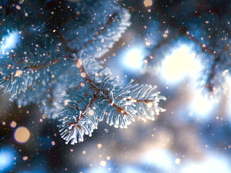 Schönheitswinterschneefälle stockbild Schönheitswinterschneefälle stockbild