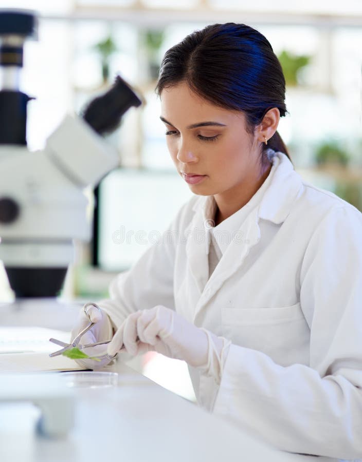 The Science of Plant Life. a Young Scientist Working with Plant Samples