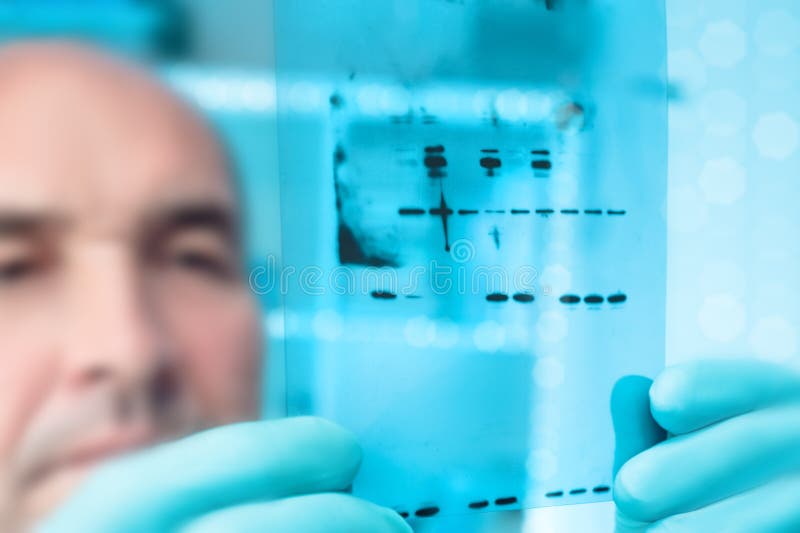 Scientific background: scientist with X-ray film royalty free stock photo Scientific background: scientist with X-ray film royalty free stock photo
