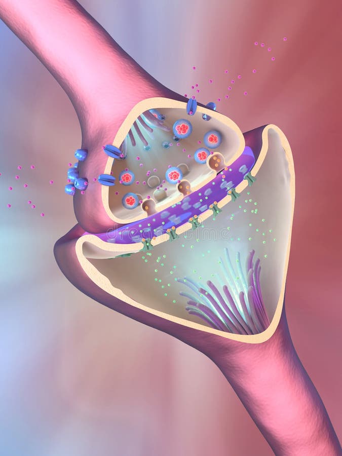 Electrical synapse stock illustration. Illustration of circuit 31204644