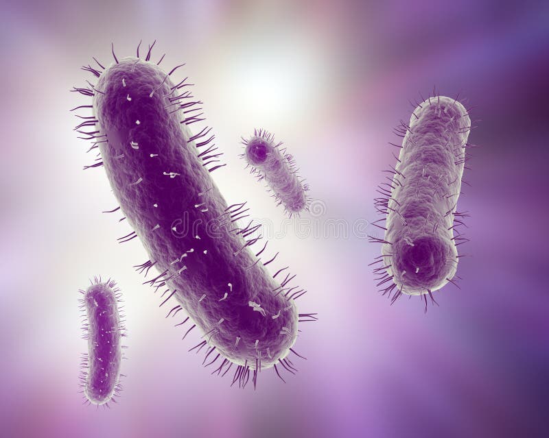 Scientific illustration of a group of bacteria. Scientific illustration of a group of bacteria