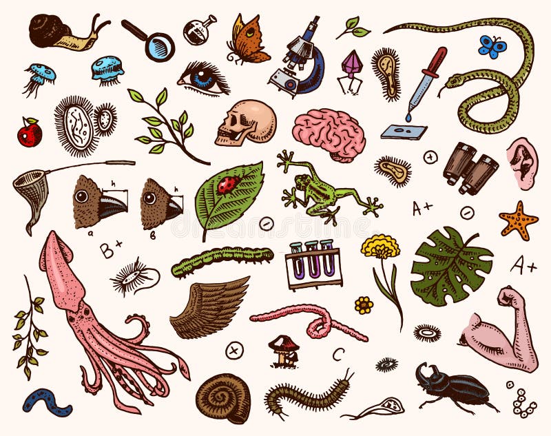 living organism clipart