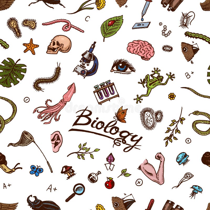 Scientific Laboratory in Biology Seamless Pattern. Biochemistry Research. Living Creatures Organisms Molecules Stock Vector - Illustration of biological, discovery: 132880948 Scientific Laboratory in Biology Seamless Pattern. Biochemistry Research. Living Creatures Organisms Molecules Stock Vector - Illustration of biological, discovery: 132880948