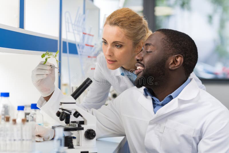 Scientists Looking At Sample Of Plant Working In Genetics Laboratory, Mix Race Couple Of Researchers Analyzing Result Of Experiment In Lab. Scientists Looking At Sample Of Plant Working In Genetics Laboratory, Mix Race Couple Of Researchers Analyzing Result Of Experiment In Lab