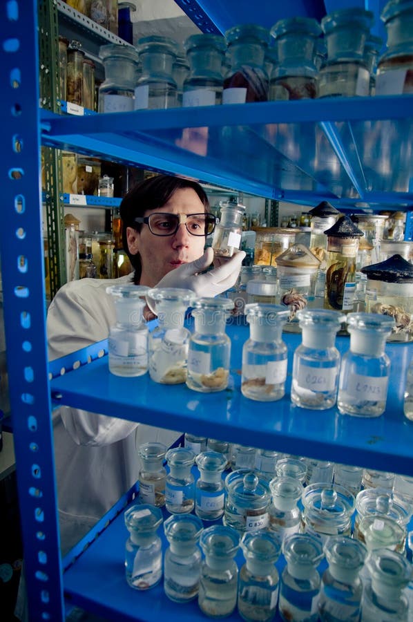 Scientist stock image. Image of spectacles, biology, intelligent 13250211