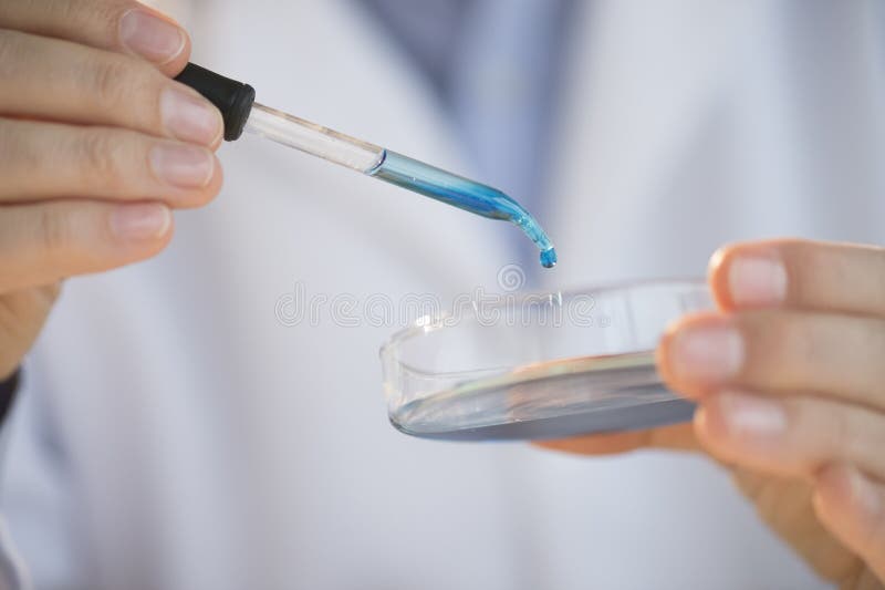 Scientist Examining Solution In Petri Dish At Laboratory Stock Photo Image of looking