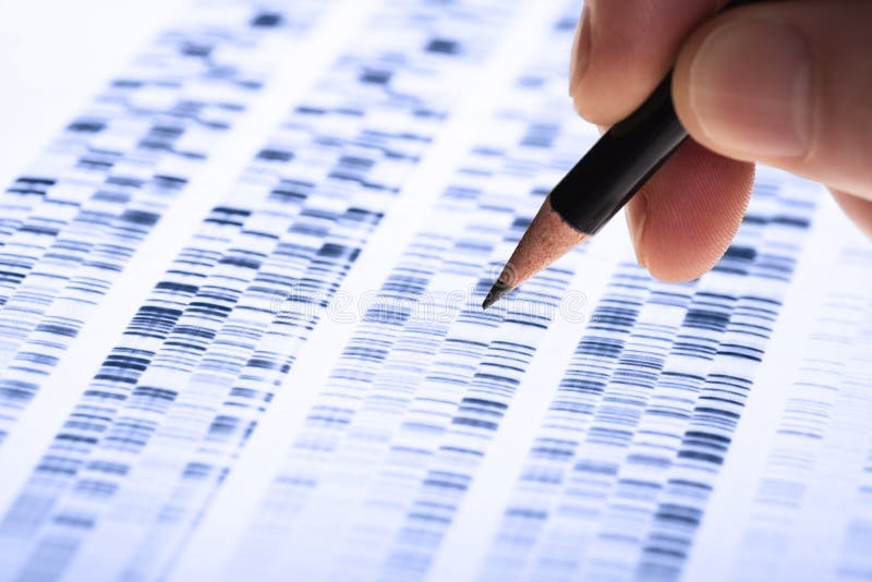 Scientist analyzes DNA gel